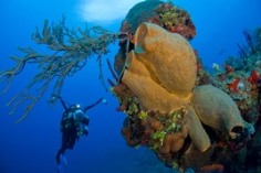 Jay Easterbrook with his new Nauticam housing for the Nikon D7100