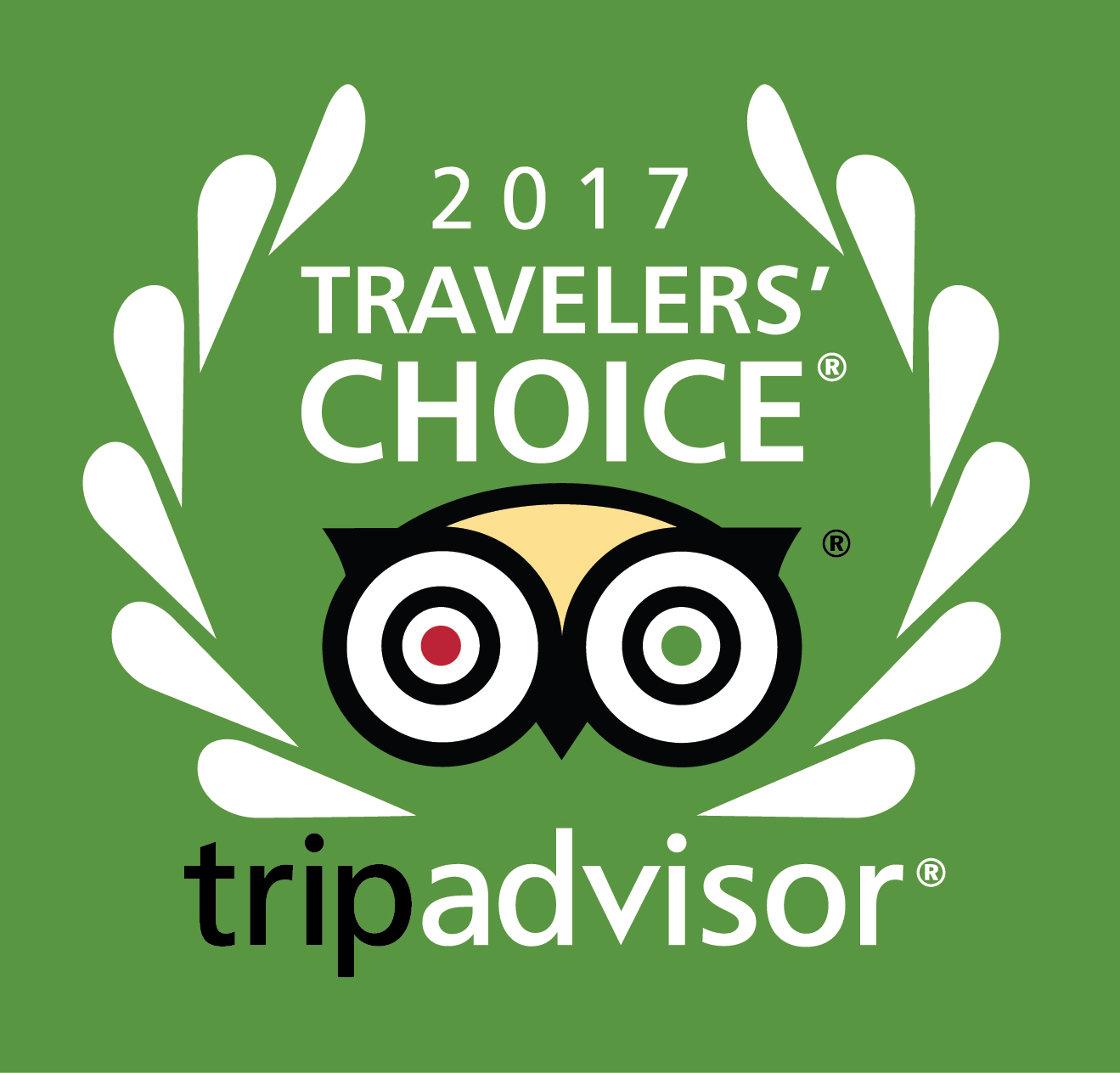 TripAdvisor Travellers’ Choice Awards, 2017
