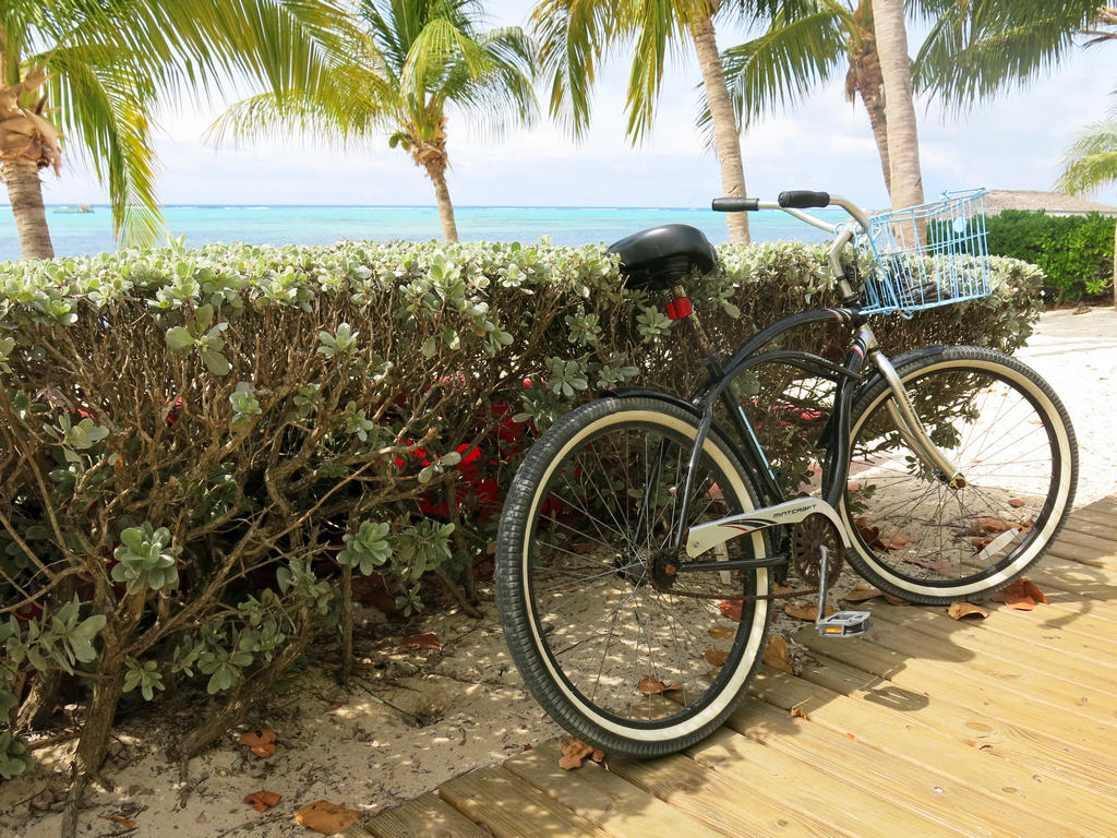 Sustainable Tourism Practices
