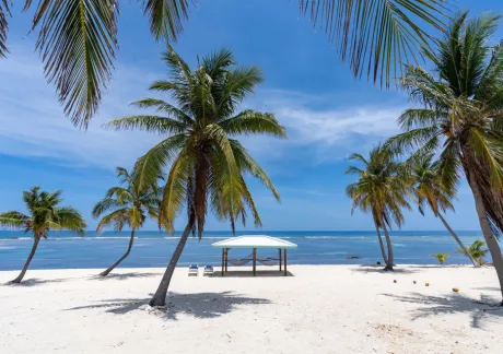 Tenth Consecutive Month of Stayover Growth Caps a Strong Summer for Cayman Tourism