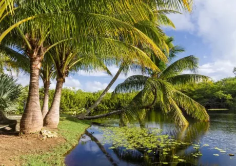 The Cayman Islands Records Its Ninth Consecutive Month of Stayover Growth